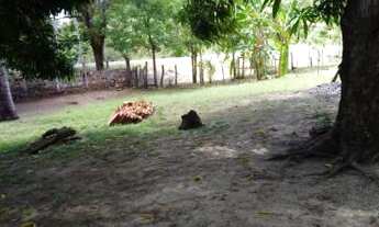 Imagem 4: Sitio na estrada de José de Freitas PI 113