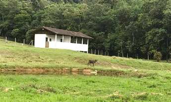 Imagem 5: Fazenda à venda em Joinville/SC