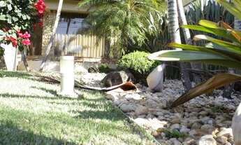 Imagem 3: Casa - Chácara Primavera - Campinas