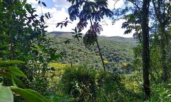 Imagem 6: Lote 7.100 m2 Jardins de Petrópolis Nova Lima MG