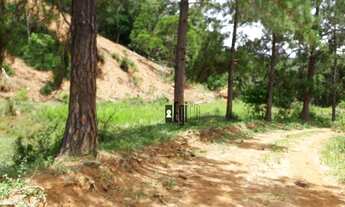 Imagem 2: Fazenda com 5 dormitórios à venda, 1100000 m² em - Argirita/MG