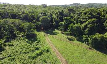 Imagem 3: Vendo chácara de 12 alq em Palmas TO