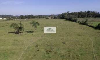 Imagem 7: Terreno à venda em Joinville/SC