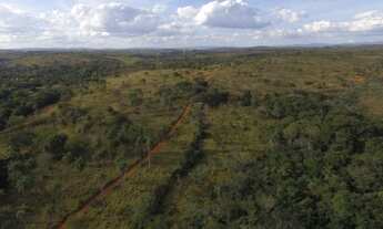 Imagem 6: Linda Fazendinha de 14,5 hectares, Jaboticatubas (Temos varias opções)