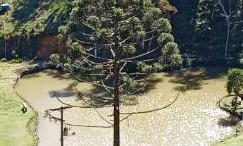 Imagem: Chacara tijucas do sul