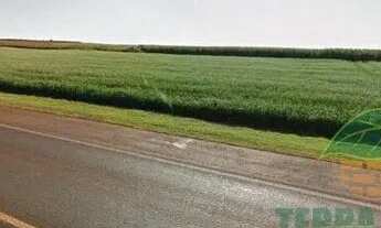 Imagem 2: Terreno à venda 1 Quarto, 14000M², Área Rural de Cambé, Cambé - PR