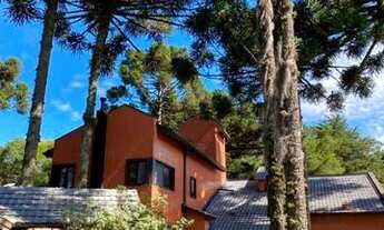 Imagem 3: CANELA - Casa Padrão - Vila Suica