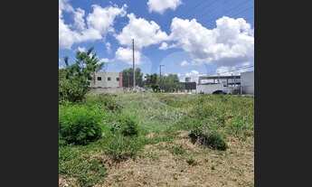 Imagem 5: Terreno no Monte Verde