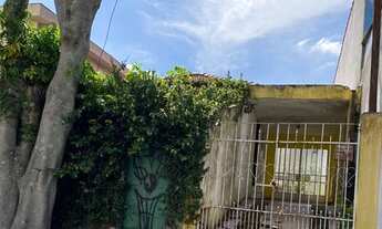 Imagem 3: TERRENO V. EMA - PRÓX. AO MONOTRILHO SÃO LUCAS !!!