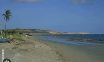 Imagem 2: Alugo casa em Icapui