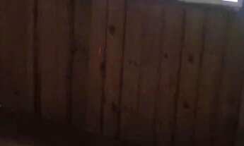 Imagem 2: Aluga-se casa Casa com 2 dormitórios