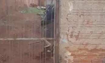 Imagem 2: Casa a venda Casa com 2 dormitórios