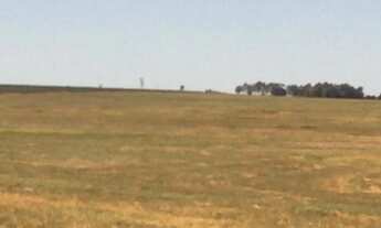 Imagem 7: FAZENDA COM 250 ALQ - PECUÁRIA E CULTURA - MONTADA - BEIRA DA PISTA - CÓRREGO E RIO - ROSA