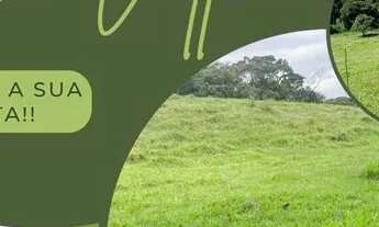 Imagem: LP - Vendo excelente terreno, 100 plano