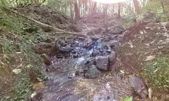 Imagem 3: Chácara em São Francisco de Paula - São Francisco de Paula