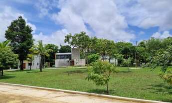 Imagem 6: Lotes 51 e 52 do condomínio BounganviIIe. Recife-PE caminho de Aldeia