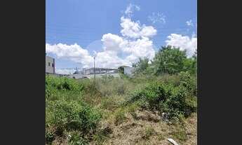 Imagem 7: Terreno no Monte Verde