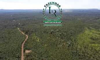 Imagem 4: Fazenda 210 Alqueires Agricultável Proximo Palmas