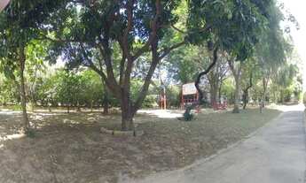 Imagem 3: Apartamento - Bonfim - Campinas