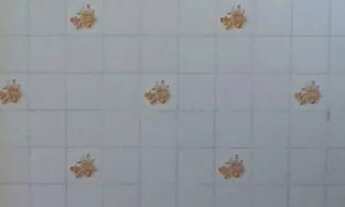 Imagem 6: Apartamento na Praça Jaú