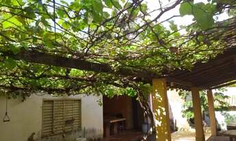 Imagem 6: Chácara a venda ou troca em Mirassol