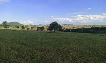 Imagem 7: Fazenda 113 alqueires plantando 50 alqueires em Ipora-GO