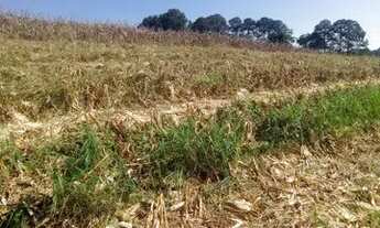 Imagem 3: Ag7- lotes rurais a 3km do asfalto