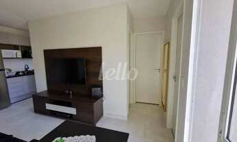 Imagem 7: São Paulo - Apartamento Padrão - Tucuruvi