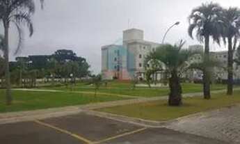 Imagem 2: Alugo apartamento