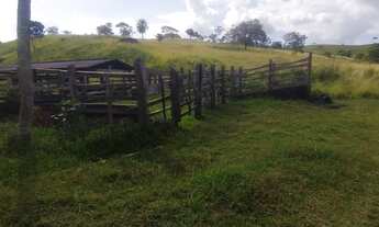 Imagem 7: Fazenda de bom padrão em Catu - Região de Gravito - não muito distante do centro da Cidade