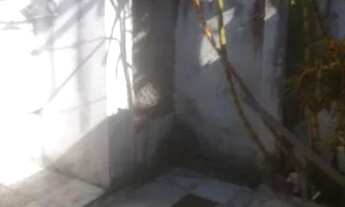 Imagem 6: Excelente oportunidade de compra