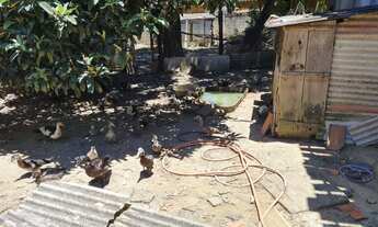 Imagem 4: CASA DUPLEX COM AMPLO TERRENO !!!