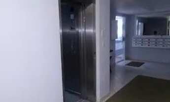 Imagem 6: Alugo Apartamento capoeiras 3 dormitórios