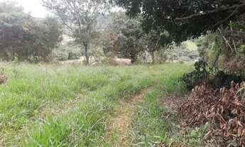 Imagem 2: Vendo terras próximo a Palmeiral contendo 3 hectares . Direto com proprietário