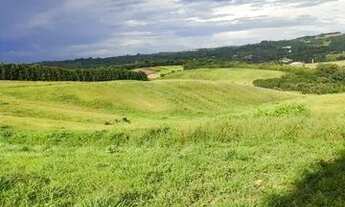 Imagem 5: Terreno dos sonhos em Cotia