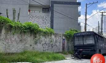 Imagem 3: São Paulo - Terreno Padrão - Tatuapé