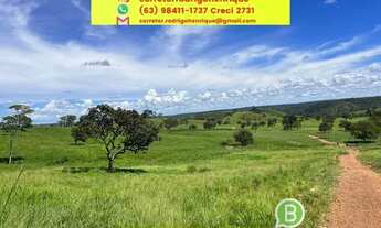 Imagem 6: Fazenda excelente pra pecuária região de Tabocão Tocantins