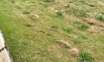 Imagem 4: Terreno - Tanquinho Velho - Monte Alegre do Sul