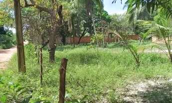 Imagem 4: Casa de Sítio _ 40m² X 50m² - Venda