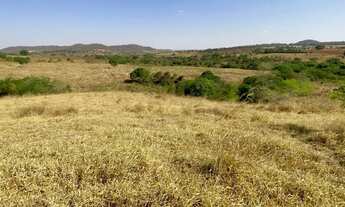Imagem 2: Fazenda de 20 alqueires em Trindade Go
