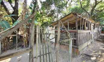 Imagem 7: Chácara em Vale das Cigarras - Santa Bárbara dOeste