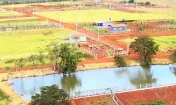 Imagem 7: Chácara 1000 m² 15Km de Uberlândia c/ Escritura Individual