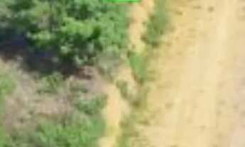 Imagem 3: Vendo lote Iconha