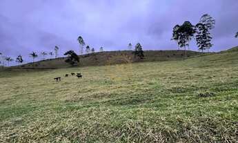 Imagem 6: A Maior fazenda disponível a venda no Espírito Santo - Oportunidade