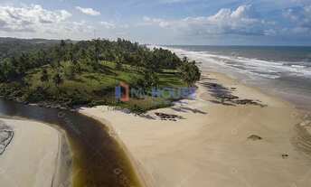 Imagem 2: TEMOS VOG MARINE PÉ NA AREIA à venda em Ilhéus, BA