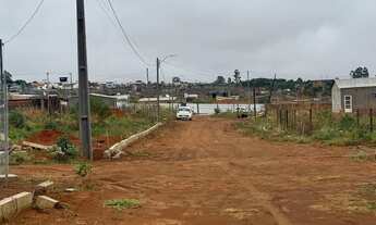 Imagem 2: Lote cana do reino