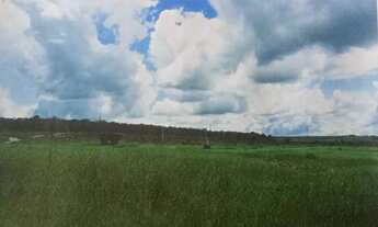 Imagem 3: Fazenda com 1.010 Alqueires no Mato Grosso Oportunidade