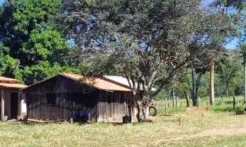 Imagem 5: OPORTUNIDADE-Fazenda a 65 km de Palmas 116 alqueires!