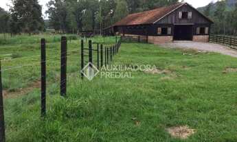 Imagem 6: Propriedade Rural no bairro Serra Grande