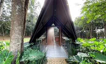 Imagem 2: Excelente lote de frente para a Mata no Jardins França, com 506 m²